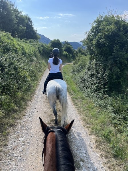 Les Écuries du Lou blanc - photo 2