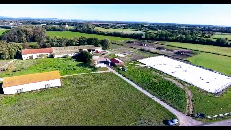 Ecurie Lynella - photo 1