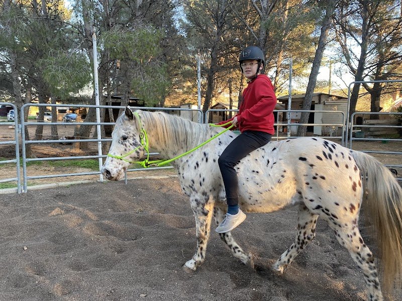 Ecurie Lynella - photo 2