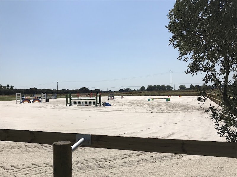 Ecurie Lynella - photo 3