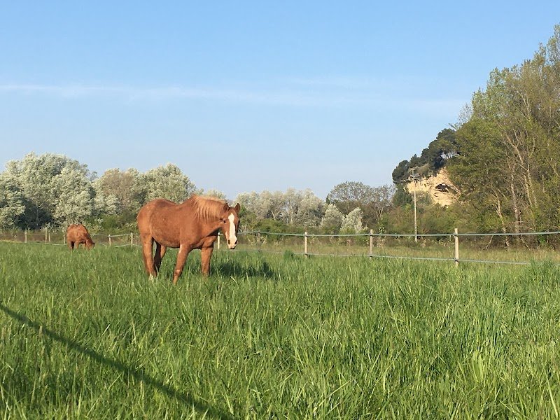 Les Ecuries de Lauris