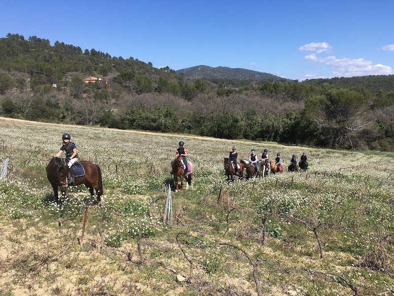 Les Ecuries de Lauris - photo 2