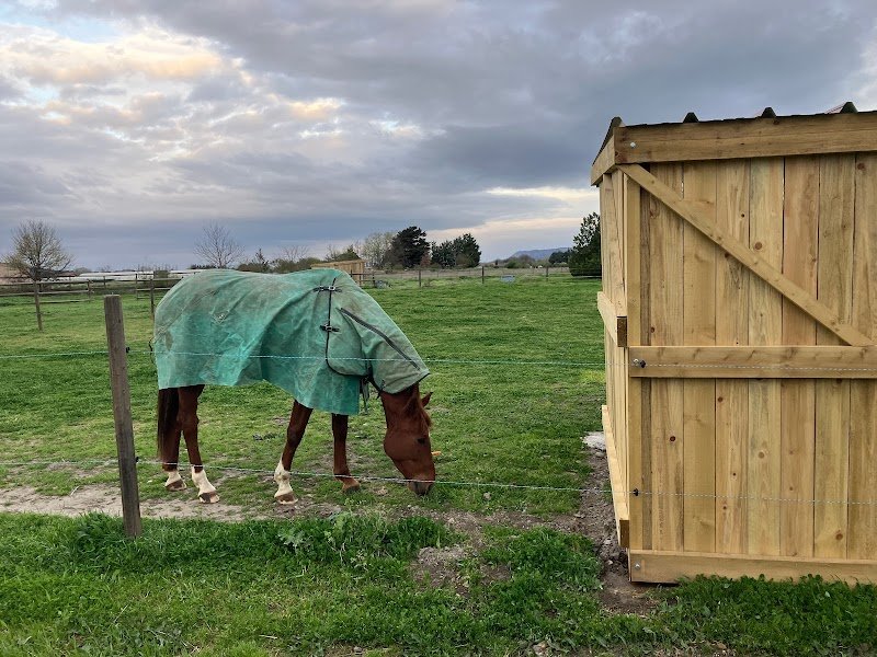 Joub’horse - photo 1