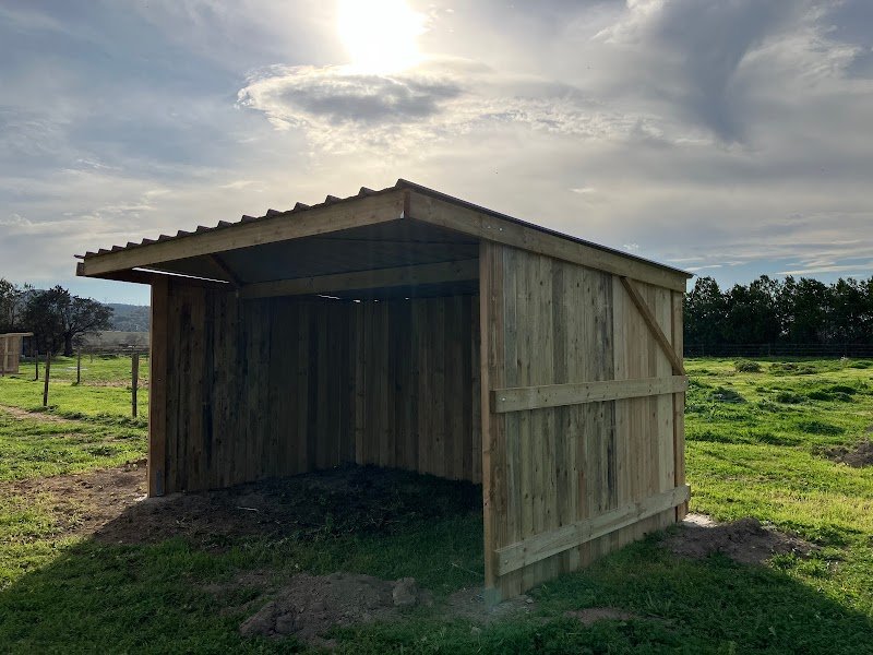 Joub’horse - photo 2