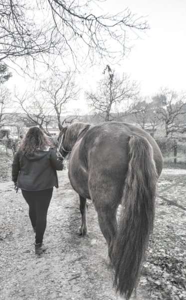 ECURIE POEME - photo 2