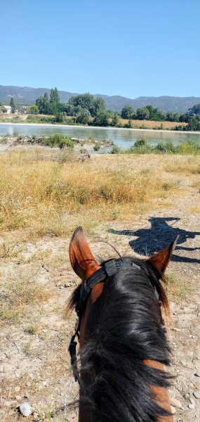 ECURIE POEME - photo 3