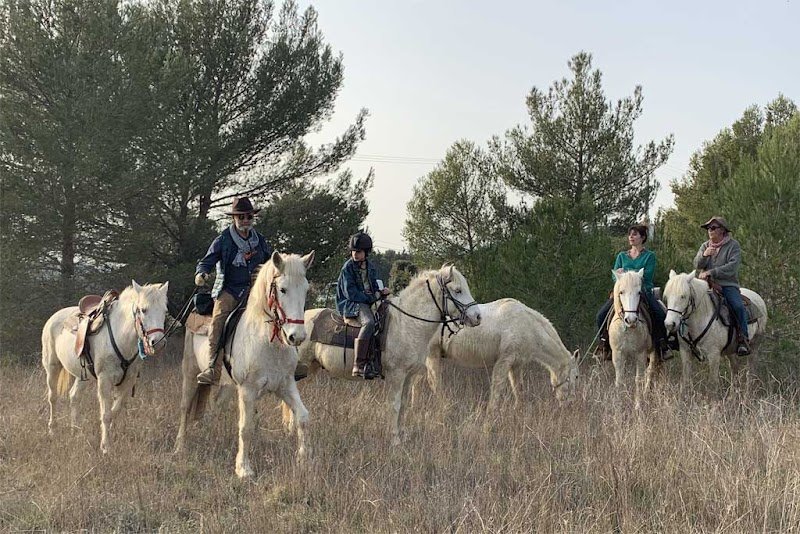 Le Sud à Cheval - Randos à cheval Provence Luberon Lauris - photo 3