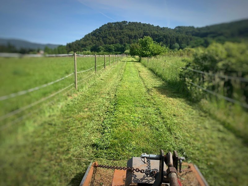 Les écuries de Sebo - Mini Poney club - photo 2