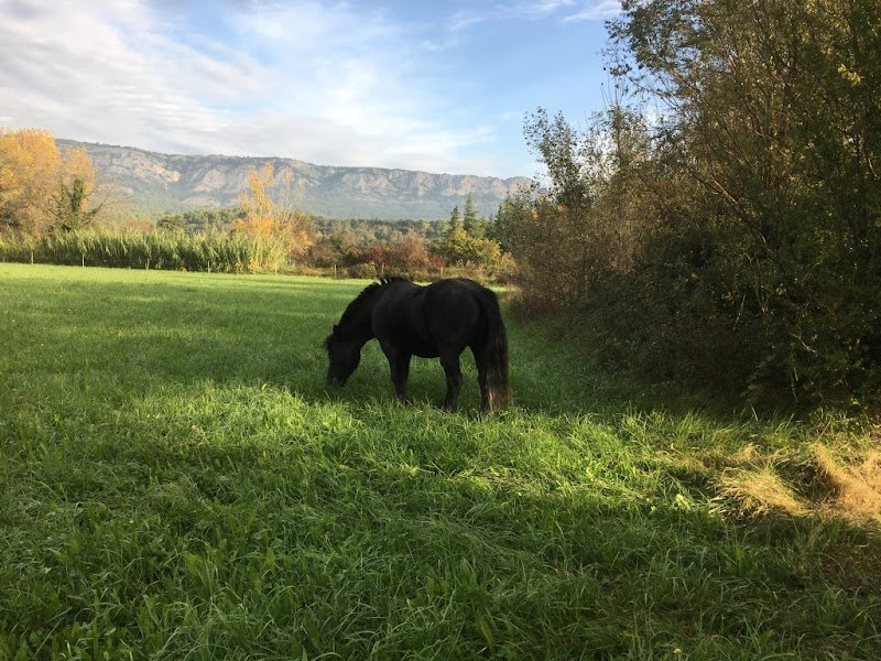 Ecurie du gramenier - photo 3