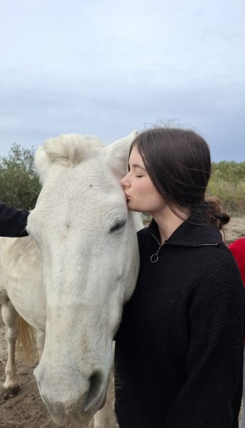Écuries les Clés du Tao : Centre de Bien-Être pour Humains et Animaux