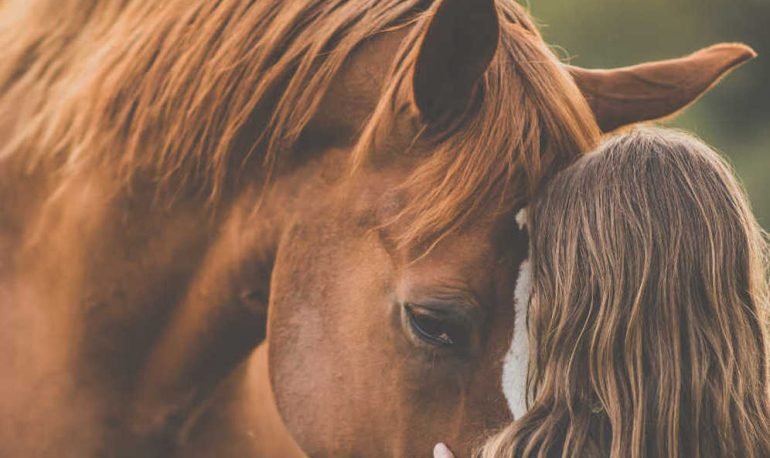 EQUIPARADISE - LE MURMURE DES CHEVAUX - photo 1