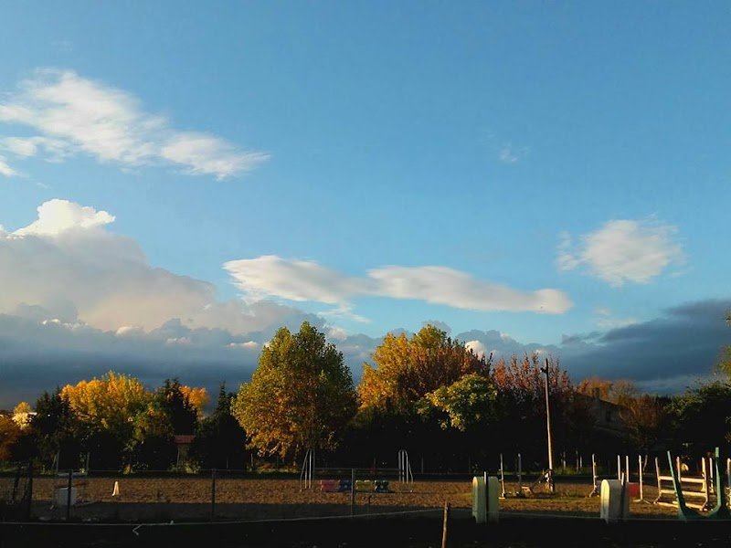 Aux Ecuries d'Aiguillon - photo 1