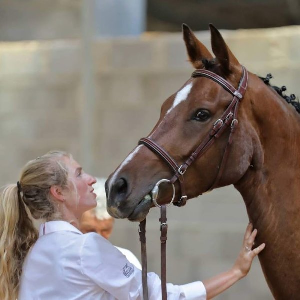 Aux Ecuries d'Aiguillon - photo 2