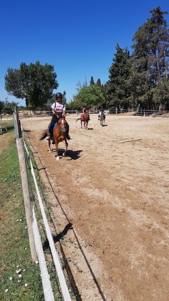 Poney Club D'iloé - photo 1