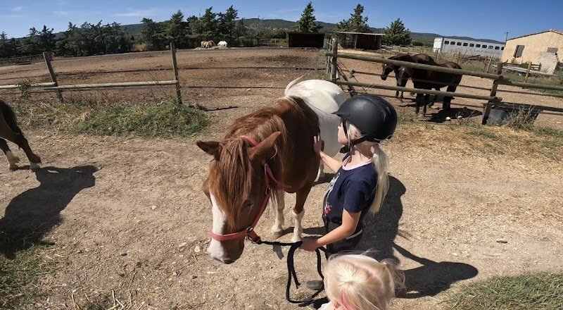 Ferme équestre de Joucas - photo 2
