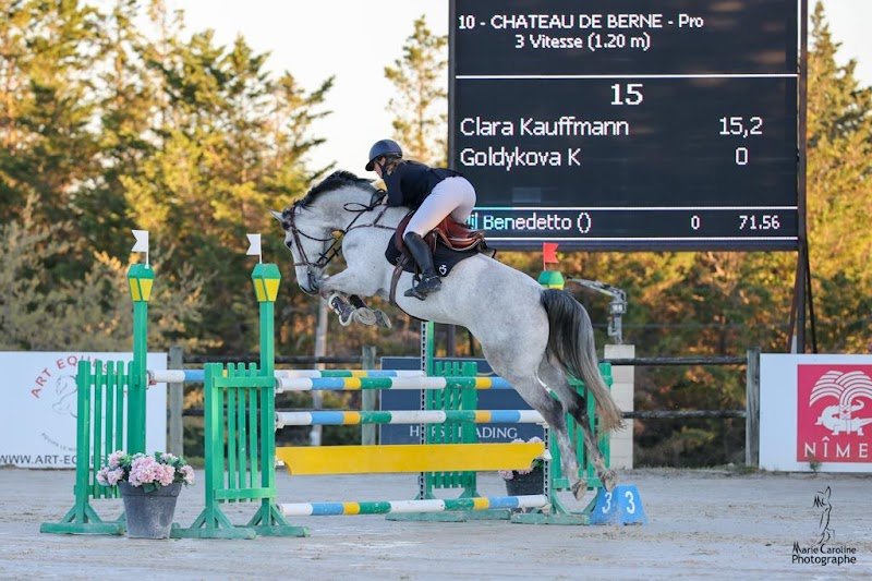 Haras Des K - photo 2