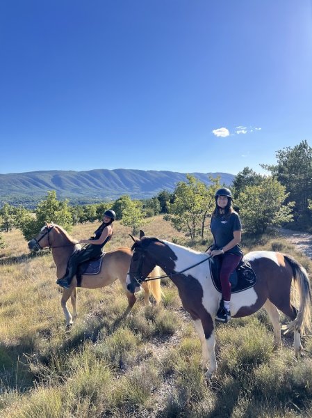 Haras Des K - photo 3