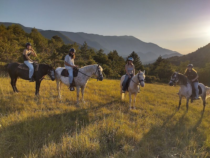 La Mini ferme du Ventoux des ecuries de Bacchus - photo 2