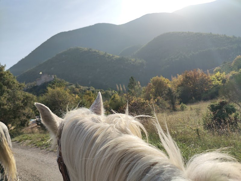 La Mini ferme du Ventoux des ecuries de Bacchus - photo 3