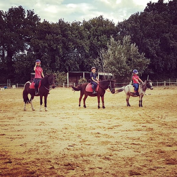 CENTRE EQUESTRE PONEY CLUB DU PHOENIX - photo 1