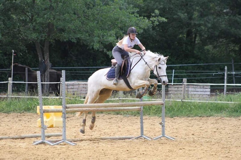 CENTRE EQUESTRE PONEY CLUB DU PHOENIX - photo 3