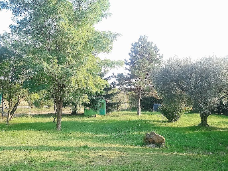 Elevage et pension du domaine d'Orthos