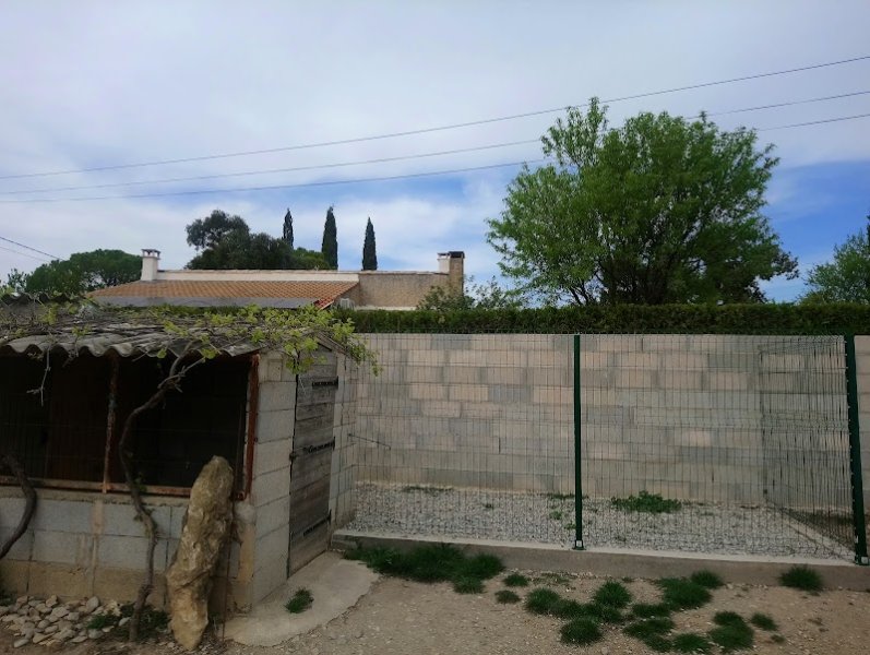 Elevage et pension du domaine d'Orthos - photo 2