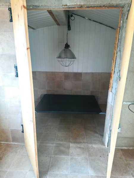 Elevage et pension du domaine d'Orthos - photo 3