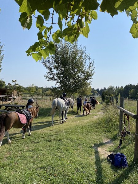 Les Poneys d'Oriole - photo 2