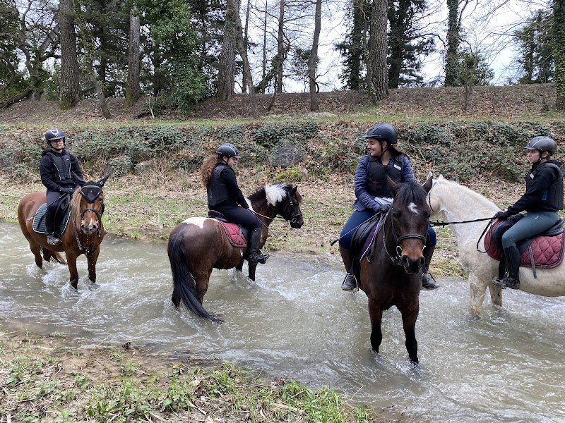 Les Poneys d'Oriole - photo 3