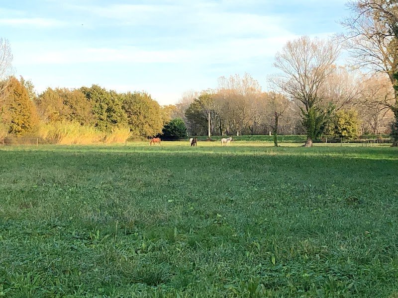 Les écuries de Triomphe - photo 2