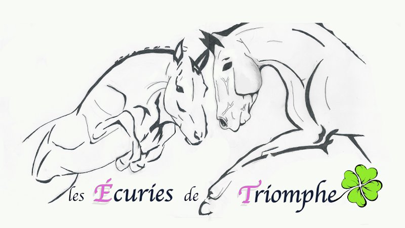 Les écuries de Triomphe - photo 3