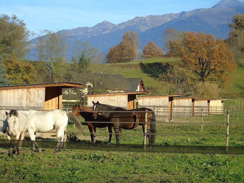 Écurie du Val Gelon - photo 2