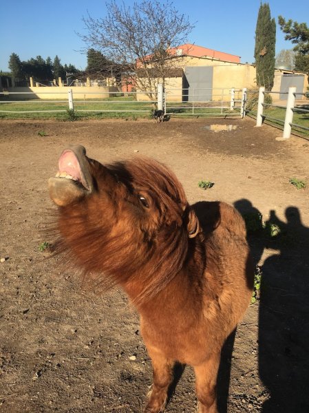 Les Ecuries de Provence - photo 3