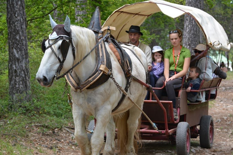 Le Poney Rouge - photo 3
