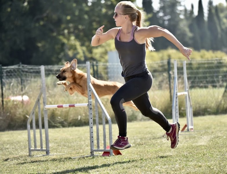 La Pension du Mont-Ventoux - photo 2
