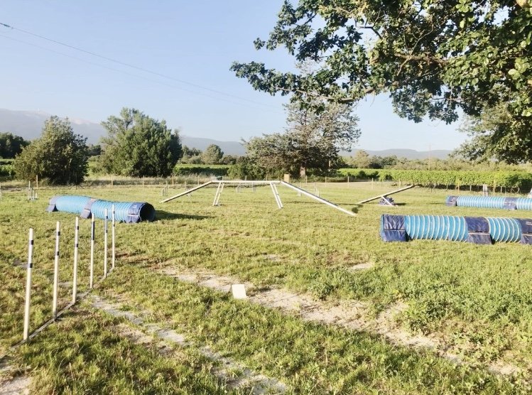 La Pension du Mont-Ventoux - photo 3