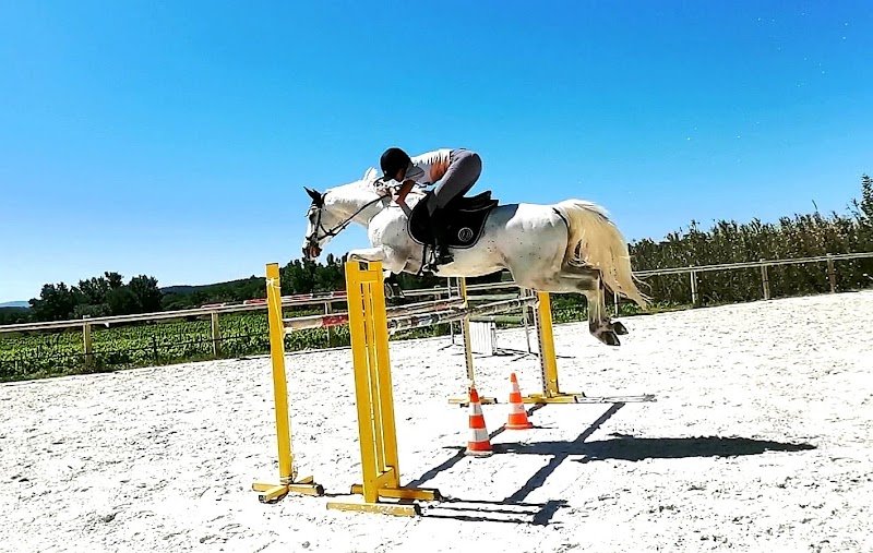 Haras de la Tuilière - photo 1