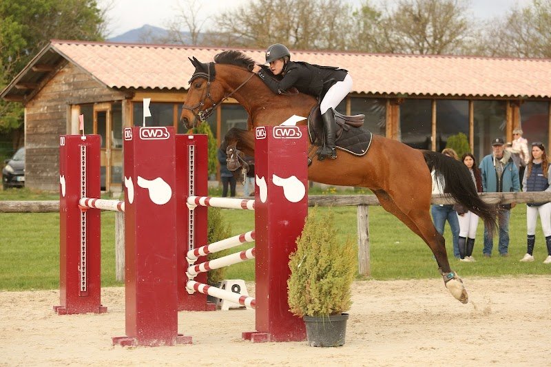 Haras de la Tuilière - photo 2