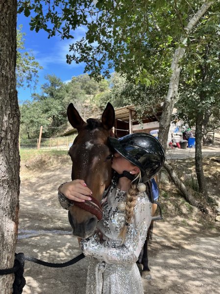 Haras de la Tuilière - photo 3