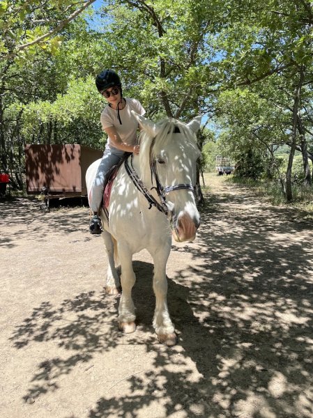 Cheval Enjeu - photo 3