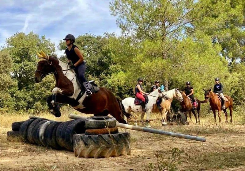 Les ecuries du mistral - photo 2