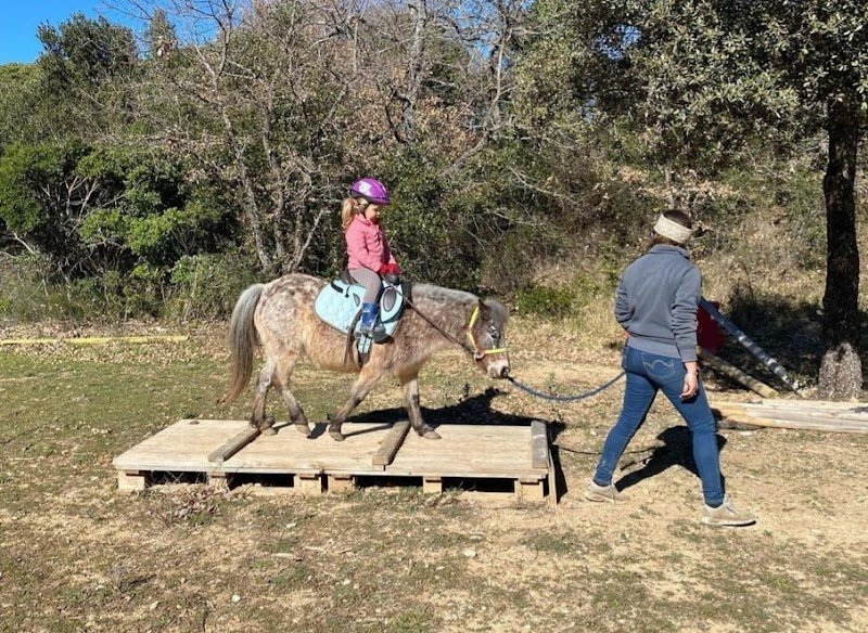 Les ecuries du mistral - photo 3