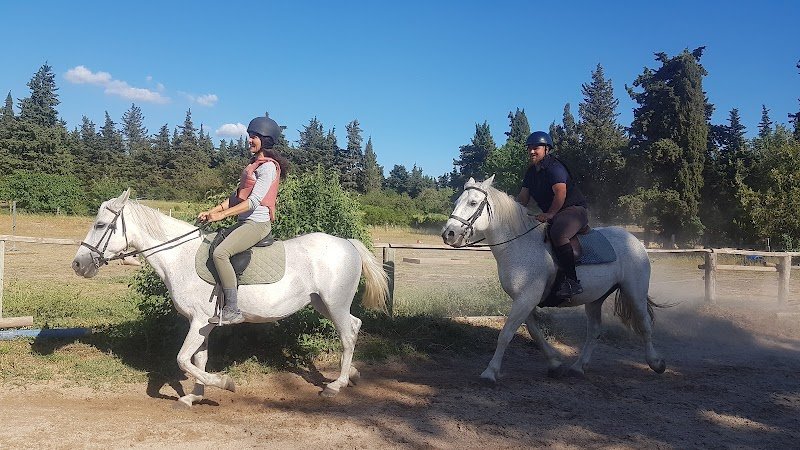 Haras de Lagnes - photo 1