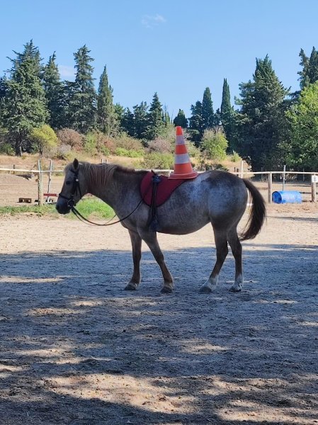 Haras de Lagnes - photo 2