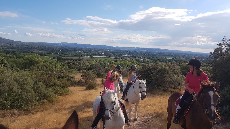 Haras de Lagnes - photo 3