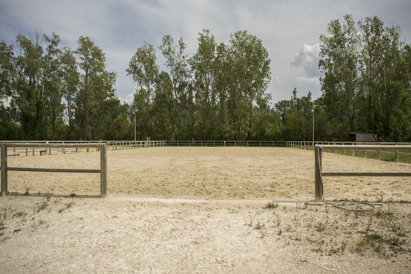Les Ecuries de la Lône - photo 2