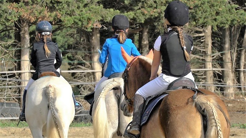 Centre Equestre La Catherine - photo 2
