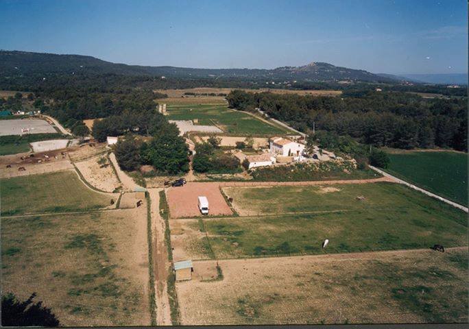 Haras de Juvénia-SCEA les Charmants - photo 2