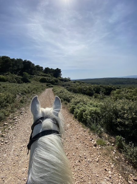 Ecuries de Bèdes - photo 3